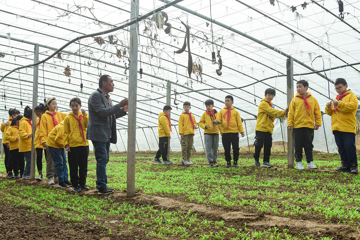 以实践为基础的研究方法案例研究：中国农村改革与发展