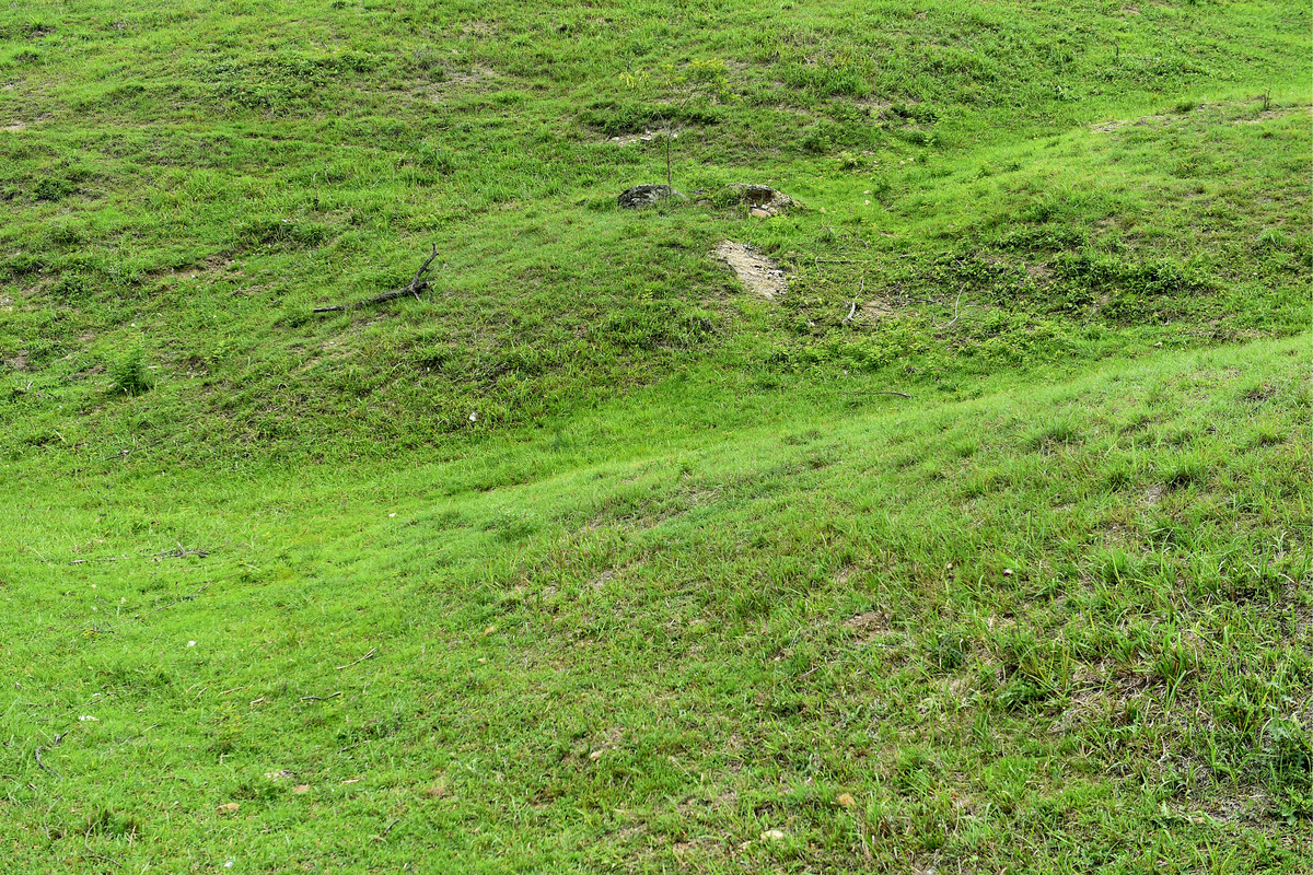 自然资源局帮我用200字详细描述