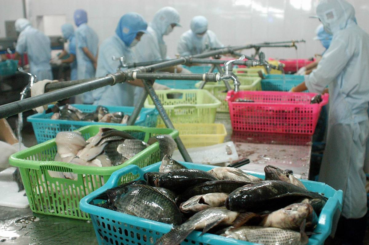 目的中国水产动物保健市场适合以什么样的战略切入中国水产动物保健市场？