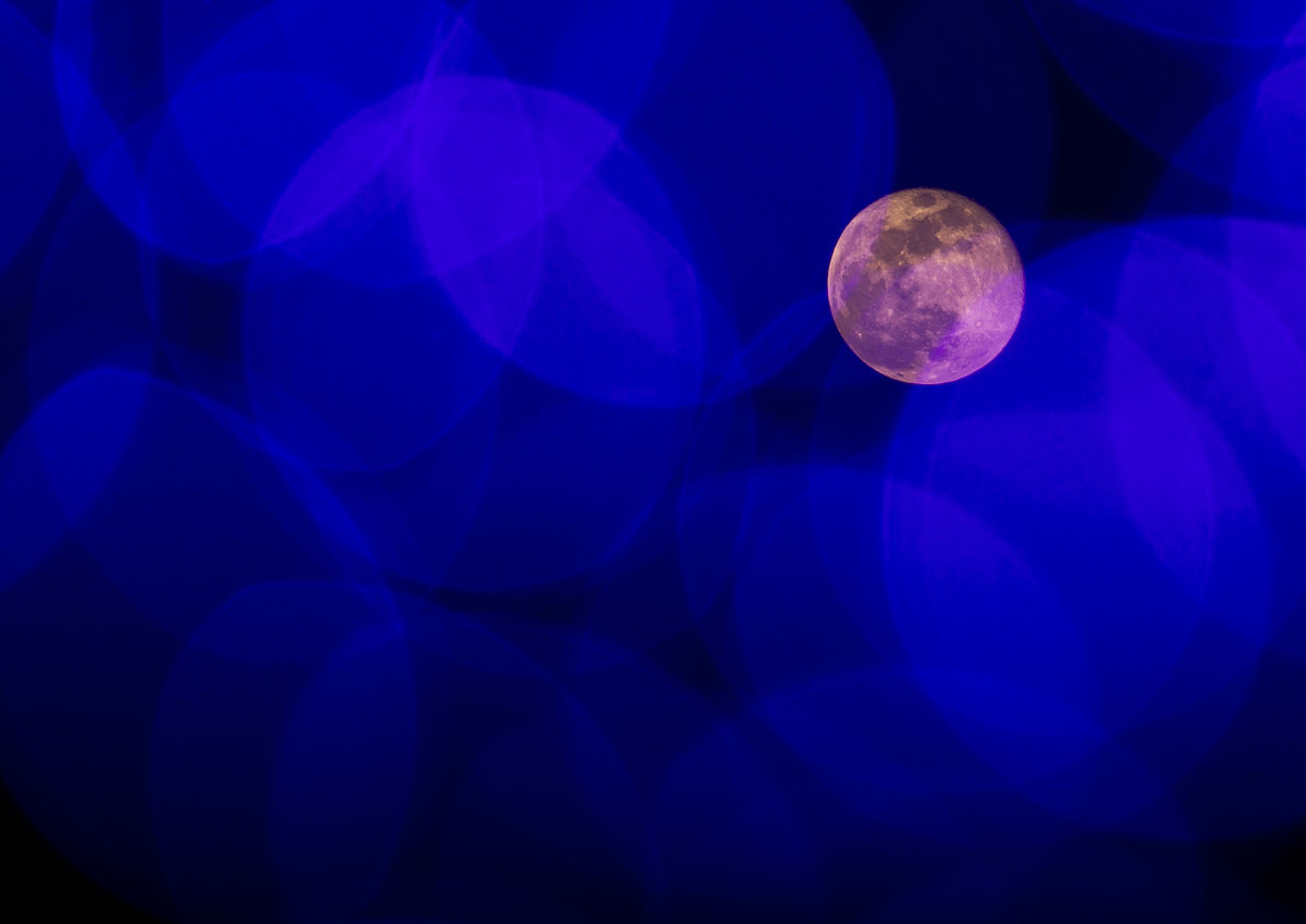 大连海洋学校2022年轮机管理专业怎么样？就业前景如何？