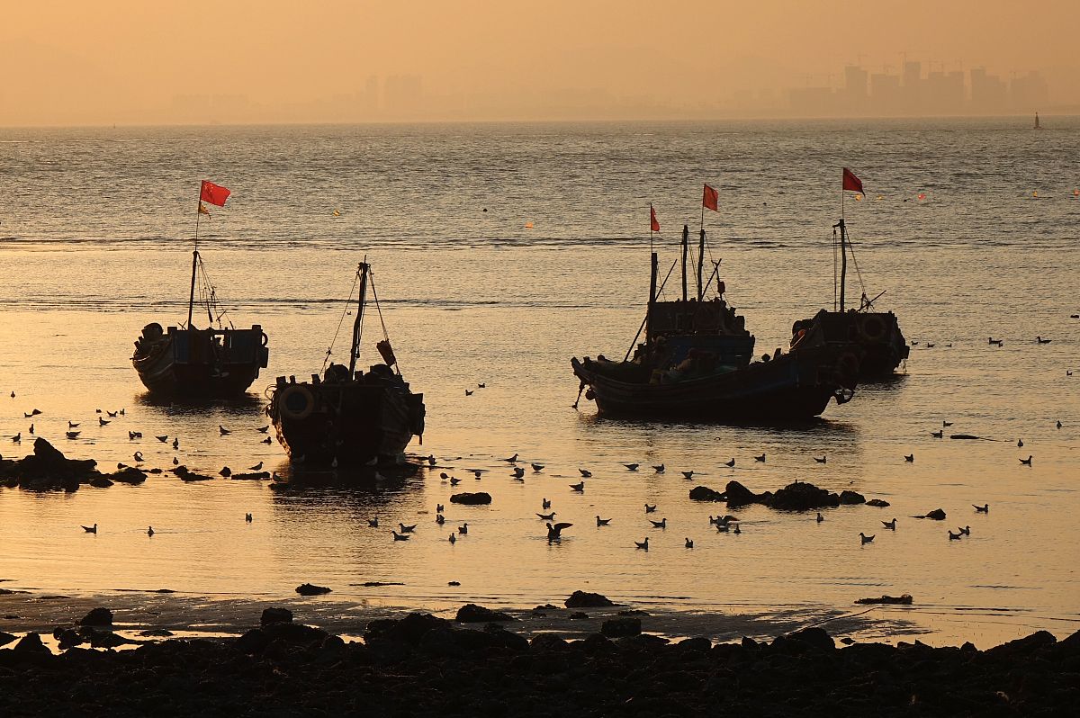 西翔航空学院酒店管理专业：优势、不足及未来发展趋势