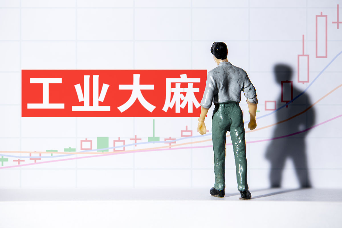 中国工业大麻管控 实证分析