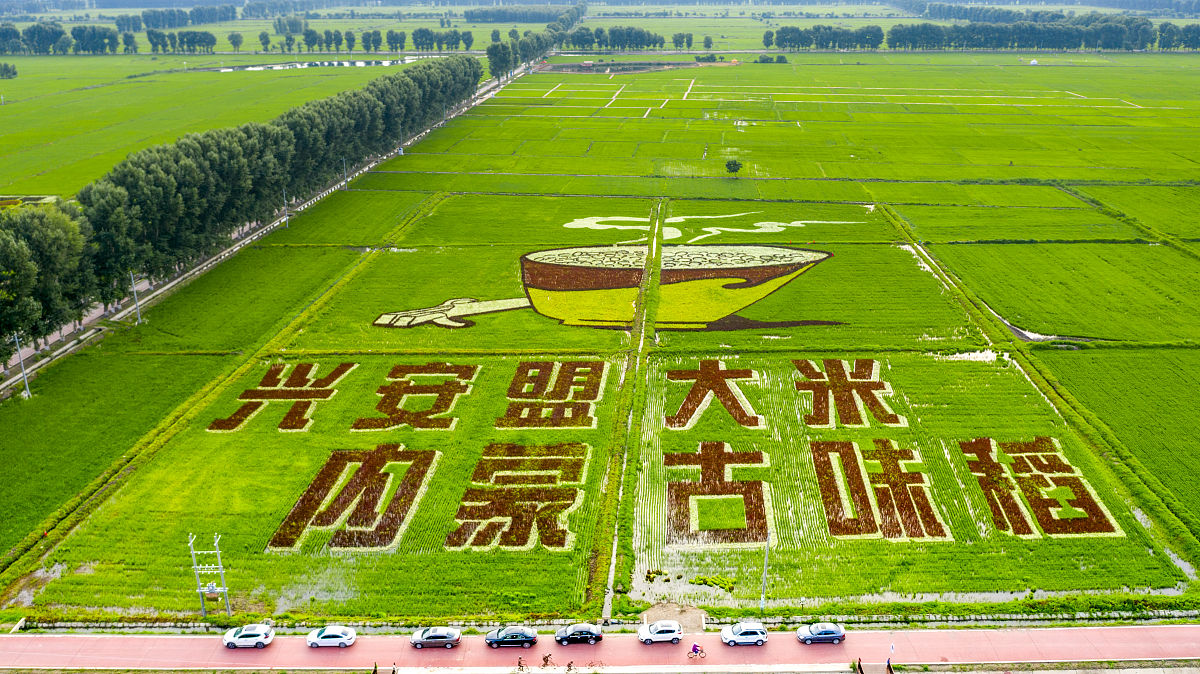 练就兴农本领：心得体会与感悟