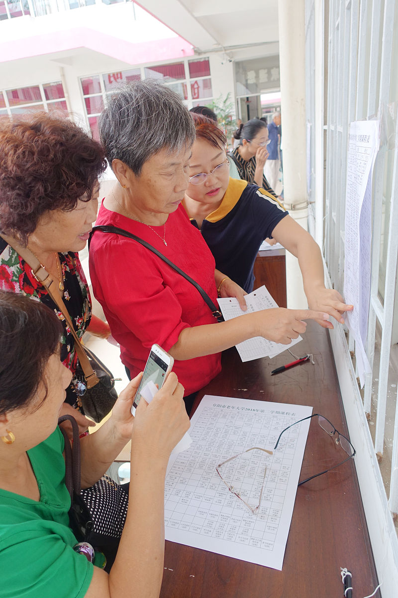 社区实习：策划老年人手机使用培训活动