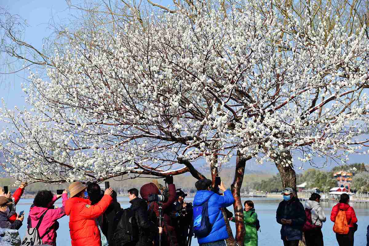 云南省林业学校2022年招生专业：培养你的林业梦想