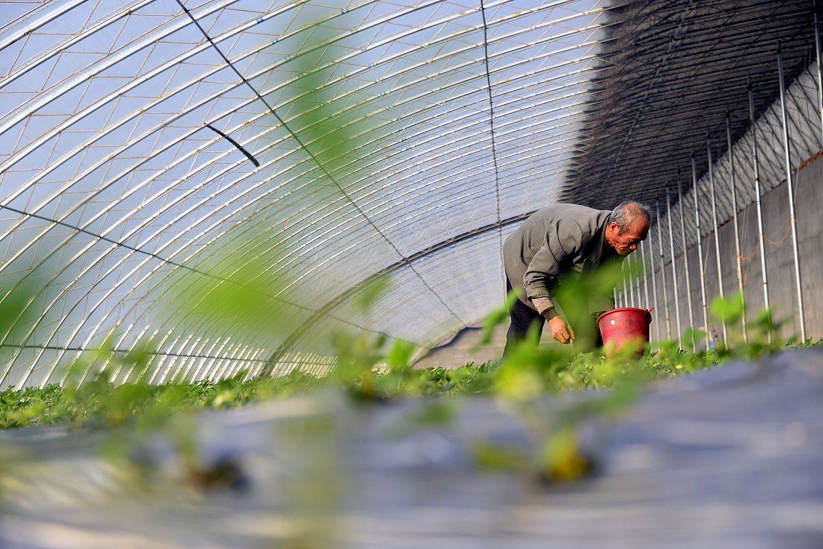 广西玉林农业学校2023年招生简章-如何选择适合自己的专业？