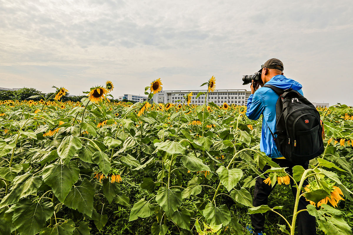 庆阳职业技术学院五年制大专招生：往届生也能报考！