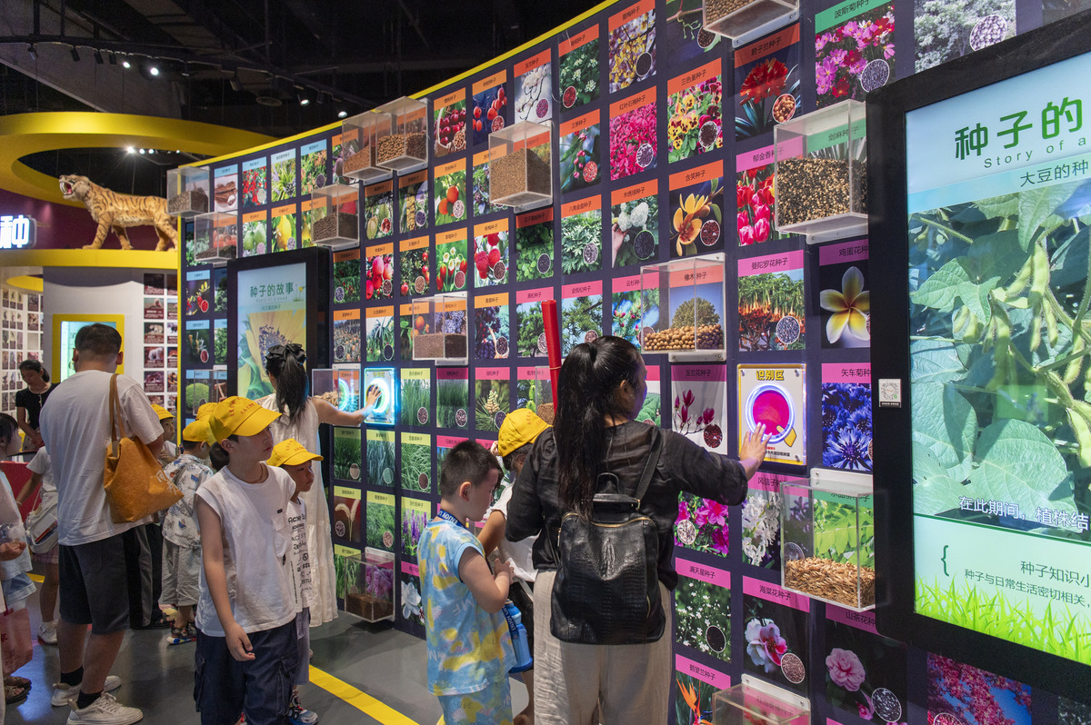 🌿1棵树•1世界：ANOBO世界少儿科技艺术巡展，未来世界就在眼前！