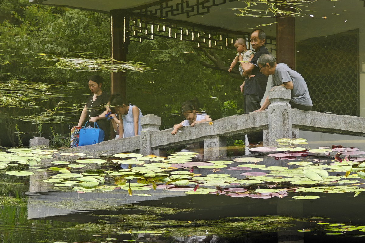 睡莲杆怎么做菜，