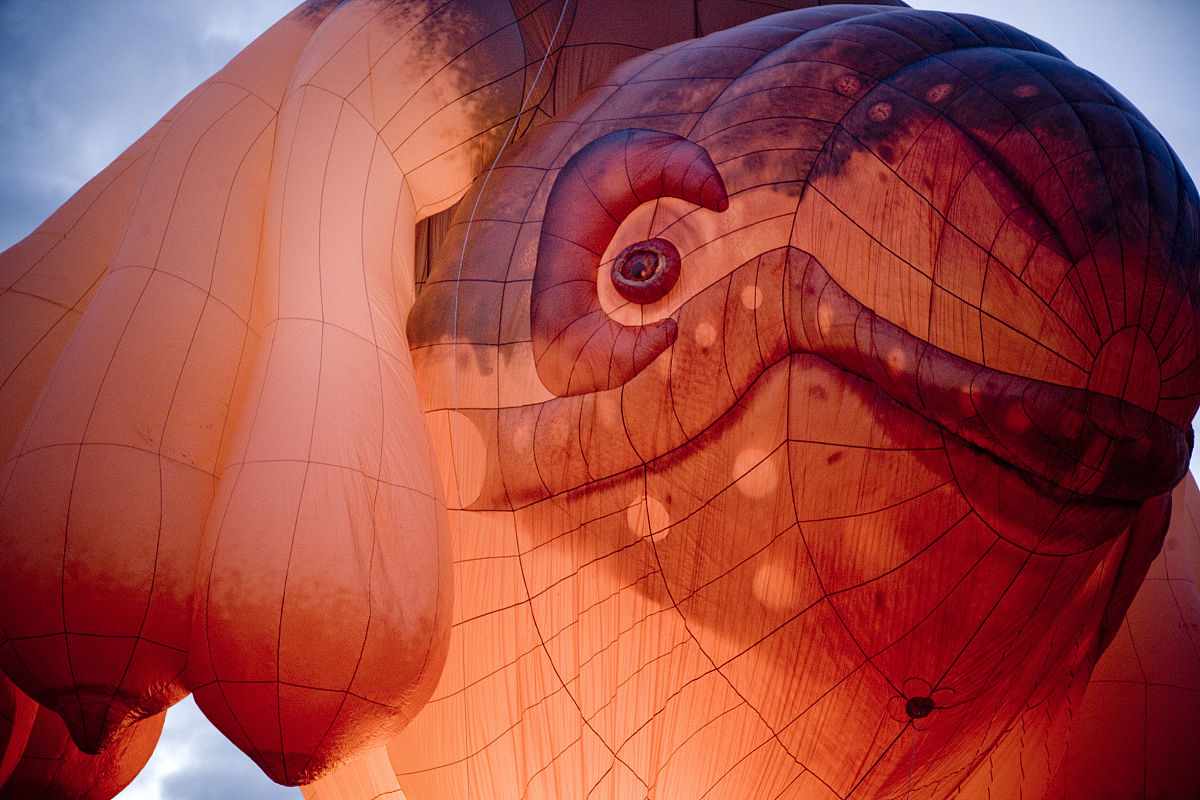 徐州生物工程职业技术学院2022年招生简章 - 生物工程专业