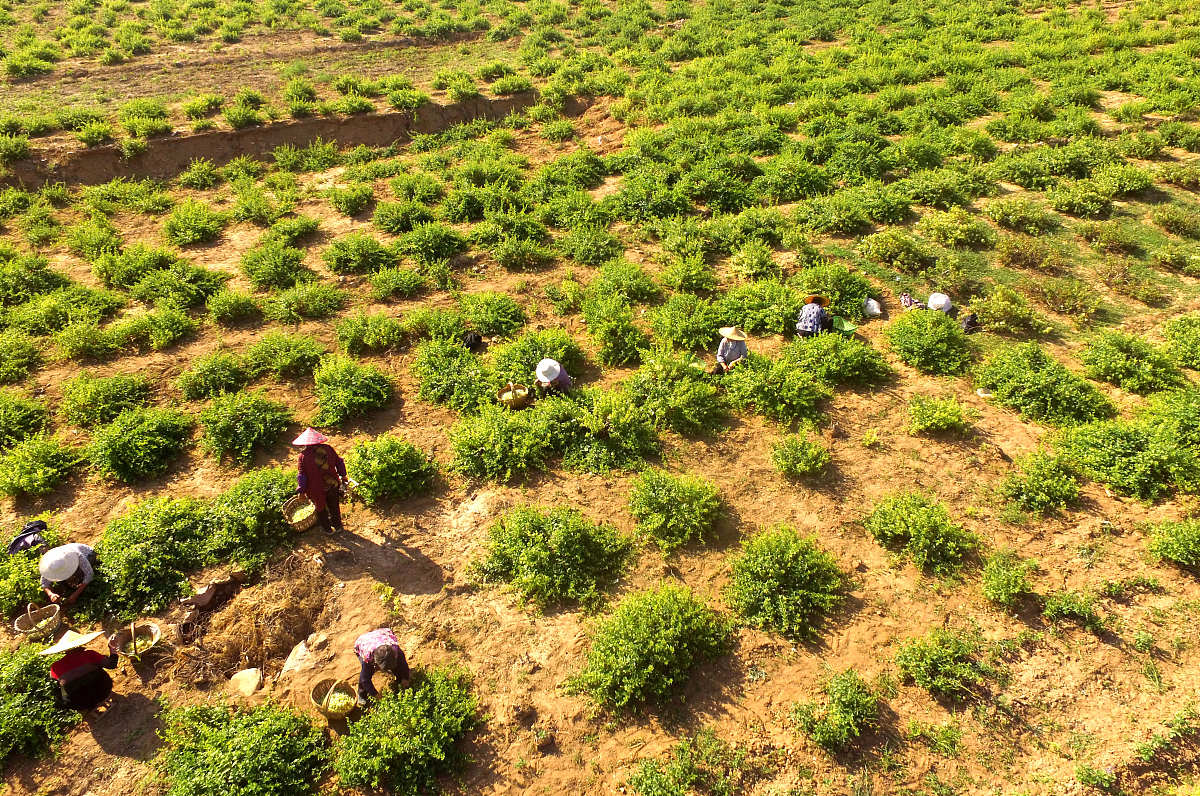 金昌媒体曝光求助热线是多少？ 要求：创建1500字的文章不能出现电话