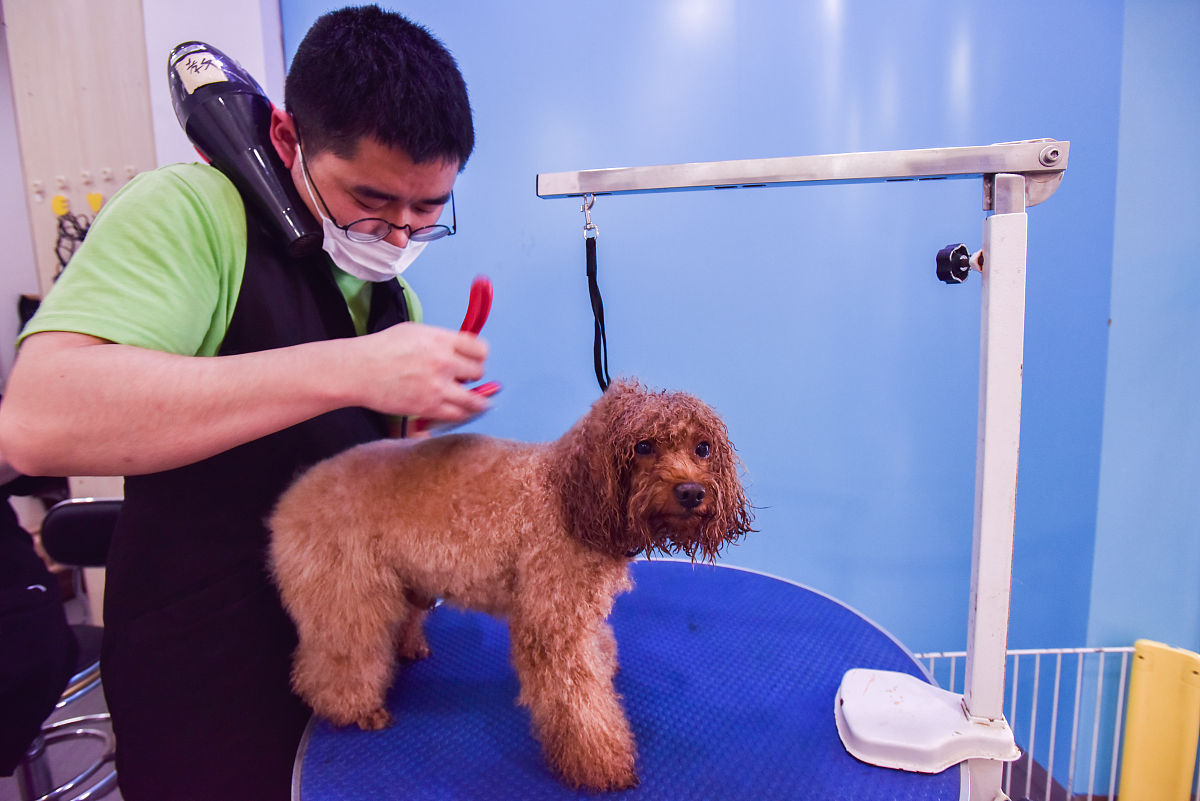 成都五年制大专学校护理专业就业前景分析