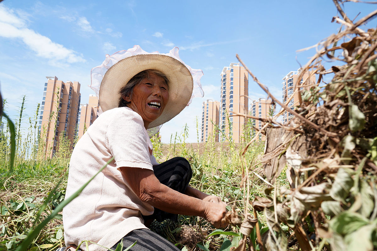 边疆村民蔬菜种的特别好。写一个纪录片文案