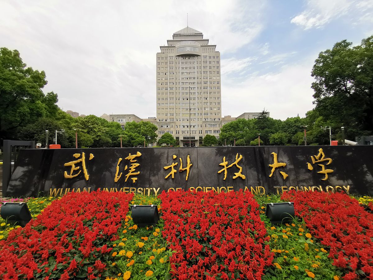 武汉有哪些专升本学校
