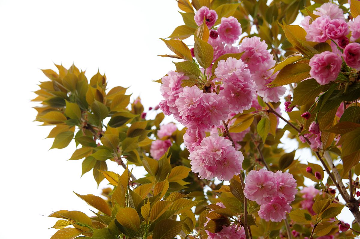 邯郸初中毕业生选什么中专专业好？2022年热门专业推荐