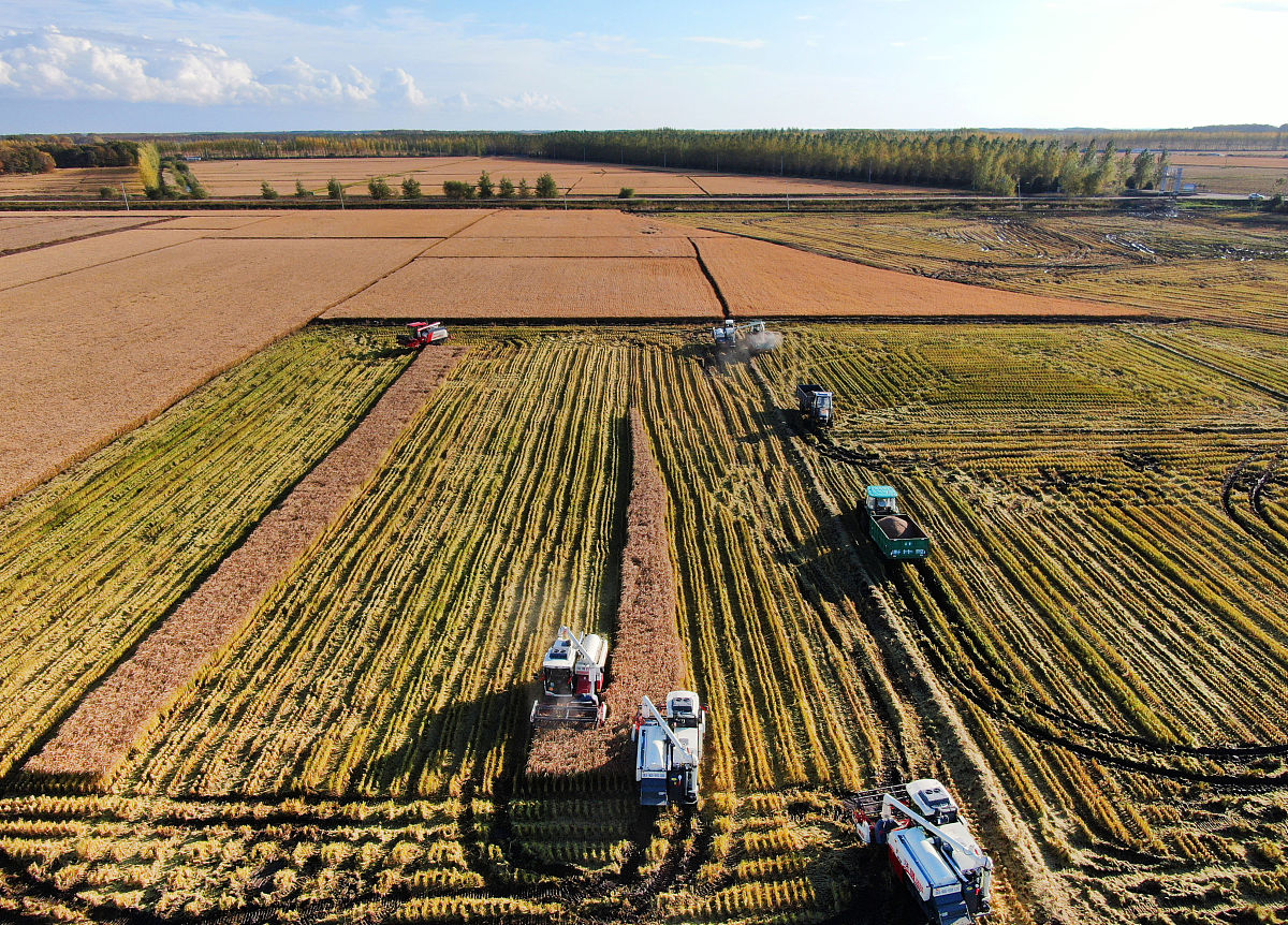 黑龙江农垦职业学院师范教育分院2022年招生电话及联系方式