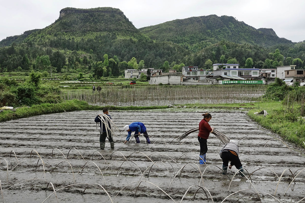 贵定中等职业学校2021年招生简章 - 1200个名额等你来报！