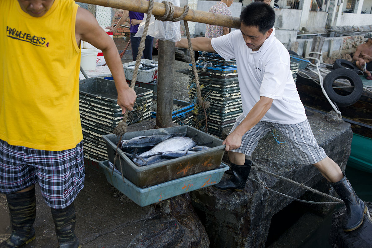 用正式官方的中文翻译这段简历：Summer Intern Small-Scale Fisheries Team & Squid Fisheries Improvement Team	May 2018-August 2018Awarded a $5000 USD grant to implement a self-identified three-month internship at the f