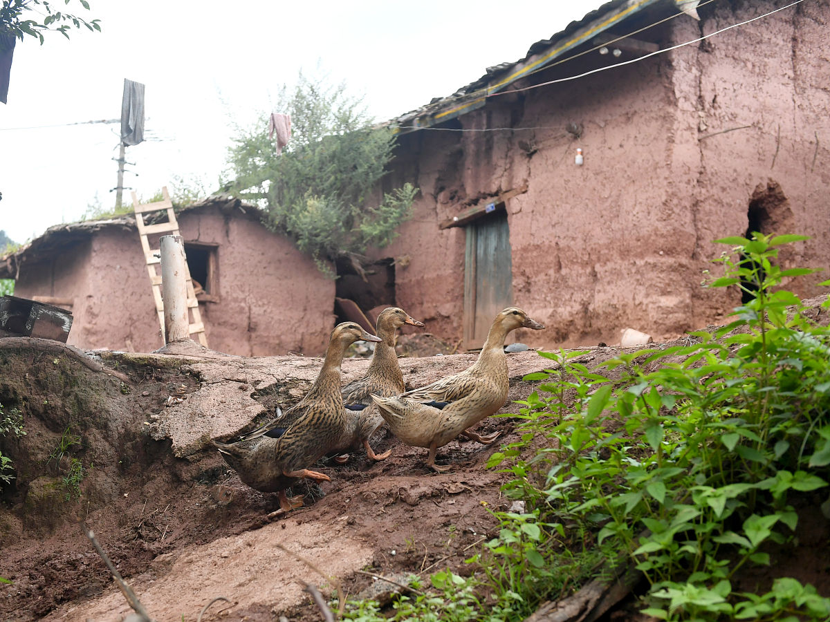 四川建筑施工员延期办理流程及注意事项