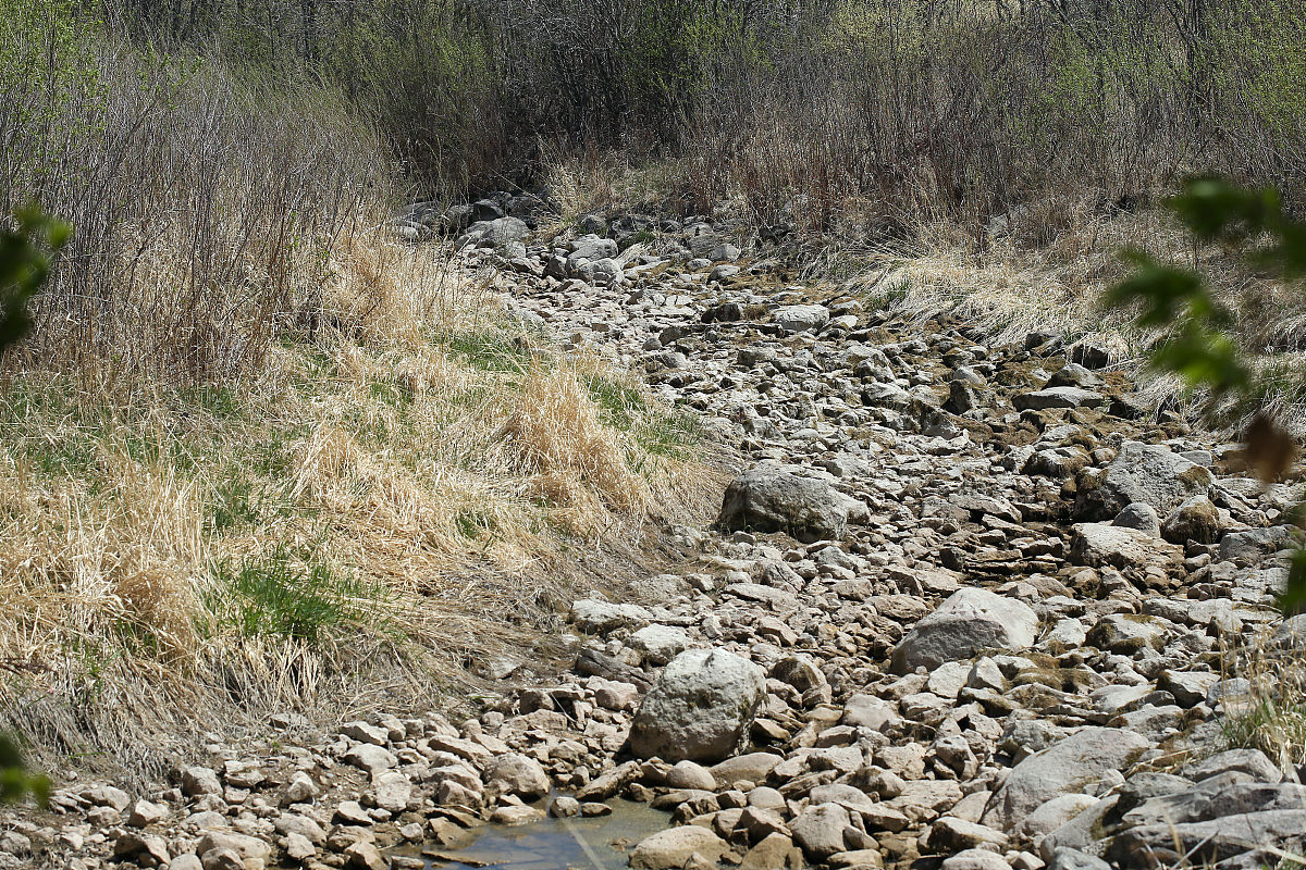 APSIM模型分析不同灌溉方案对冬小麦抗旱性的影响