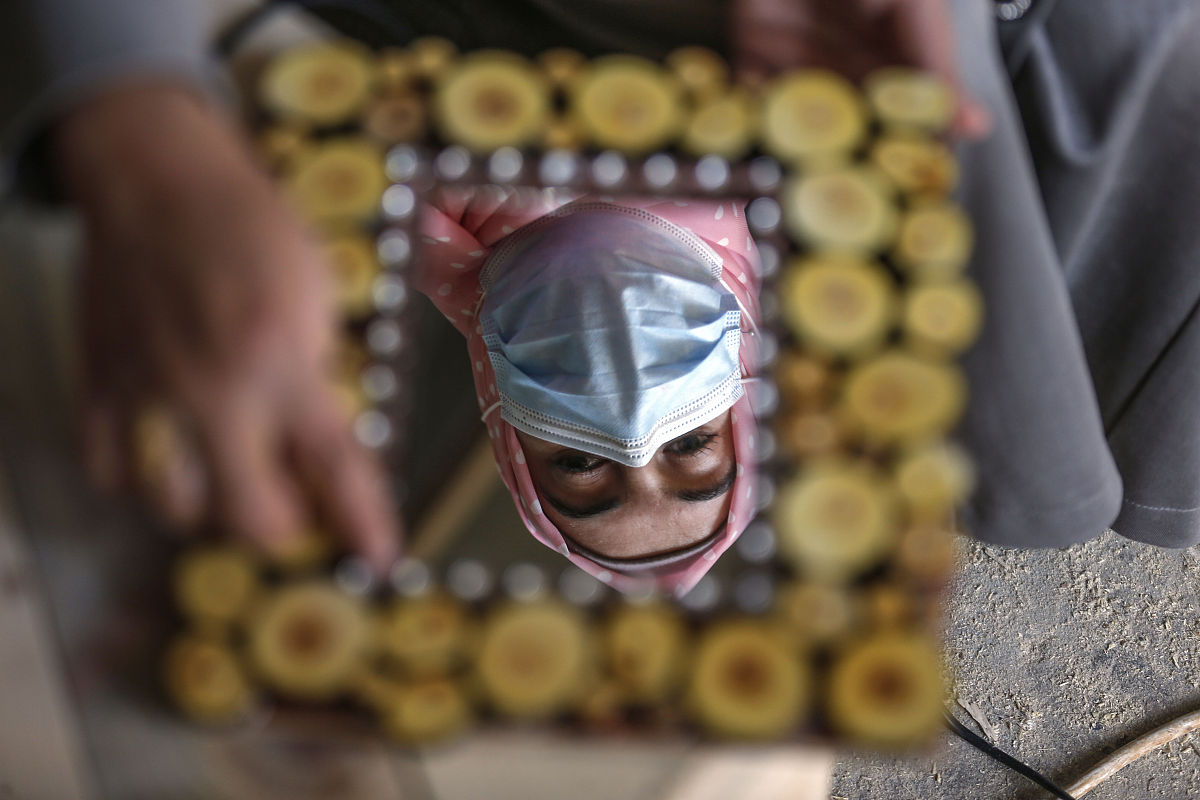 市场部财务管理：预算、支付审核、费用报销、发票开具