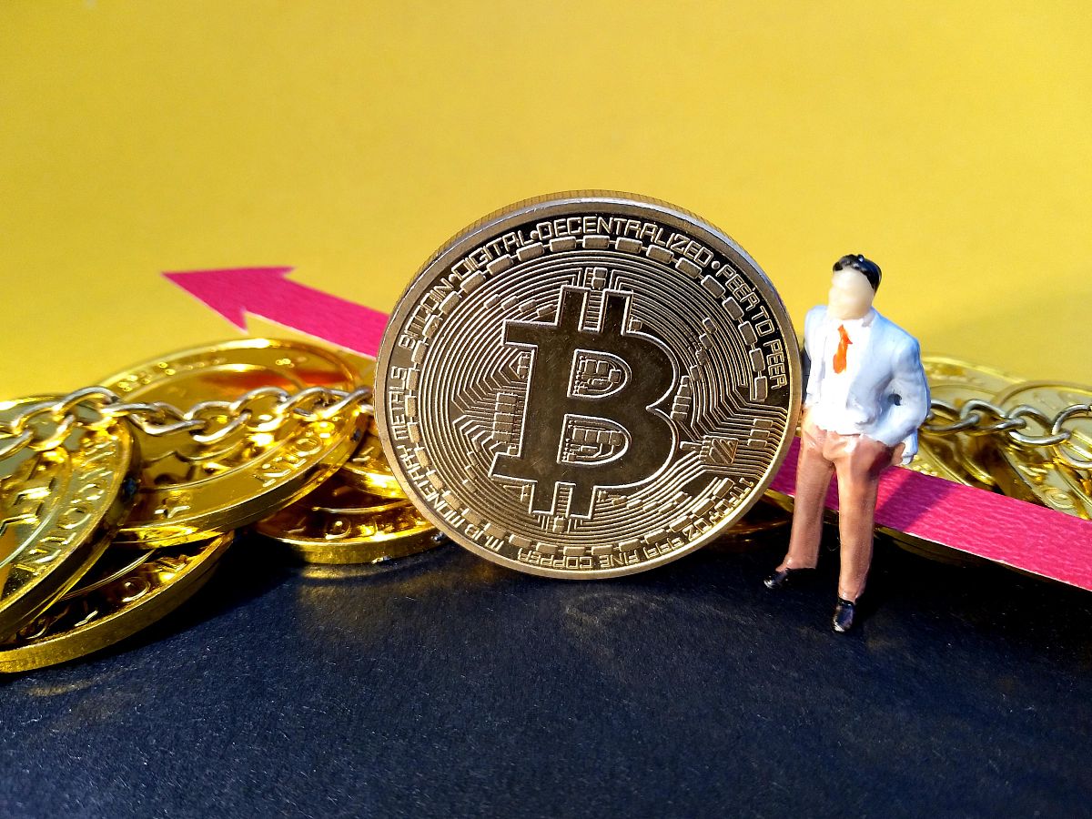 Elon Musk 是先令总督硬币它是一种加密硬币。当他谈到它时他会影响价格。自从他将其贴在推特上以来这是它升值的下一个级别。