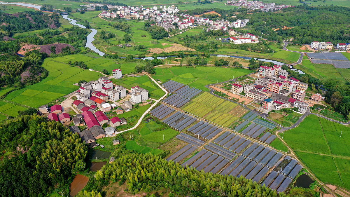 乡村振兴合理化建议