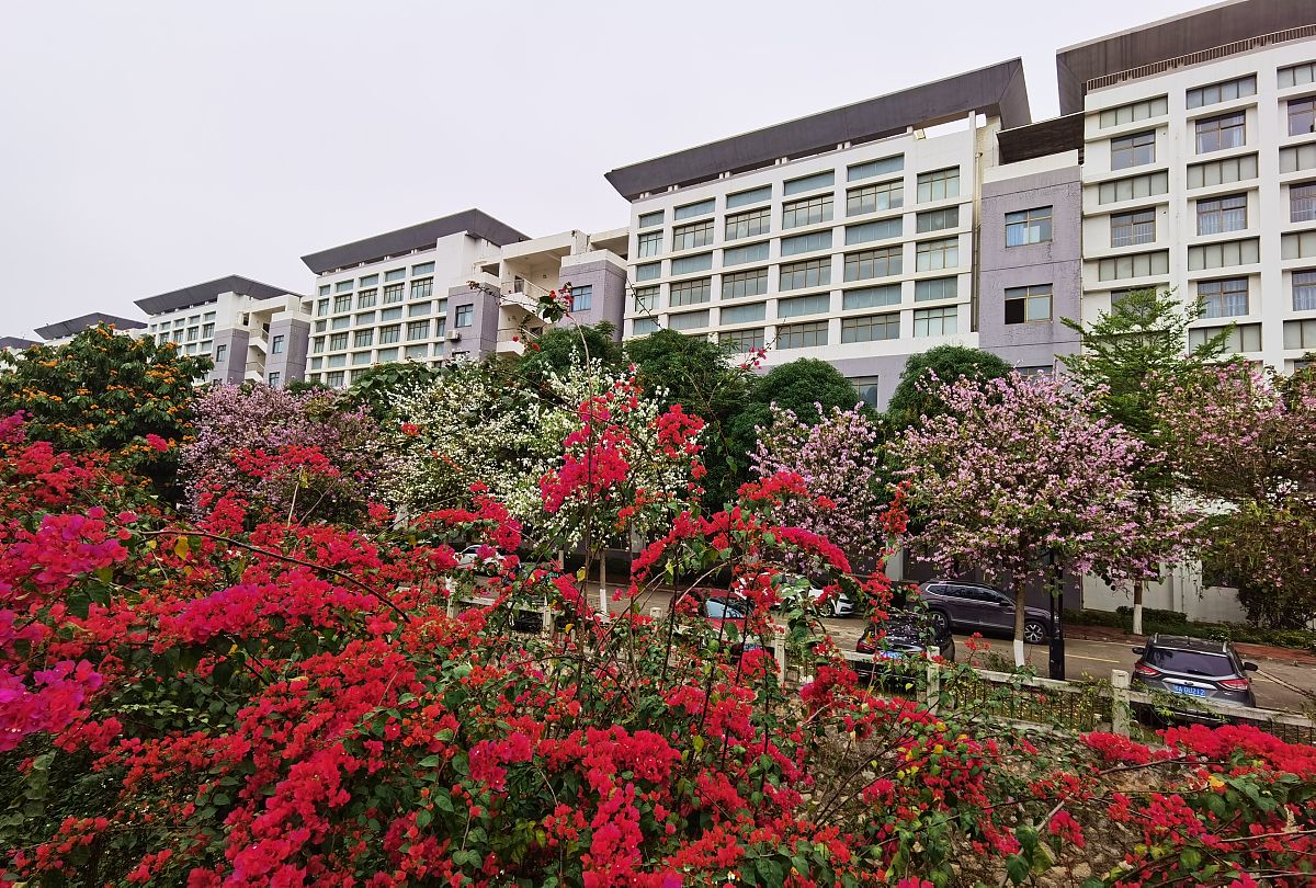 南宁职业技术学院建筑工程技术专业可选择哪些就业方向