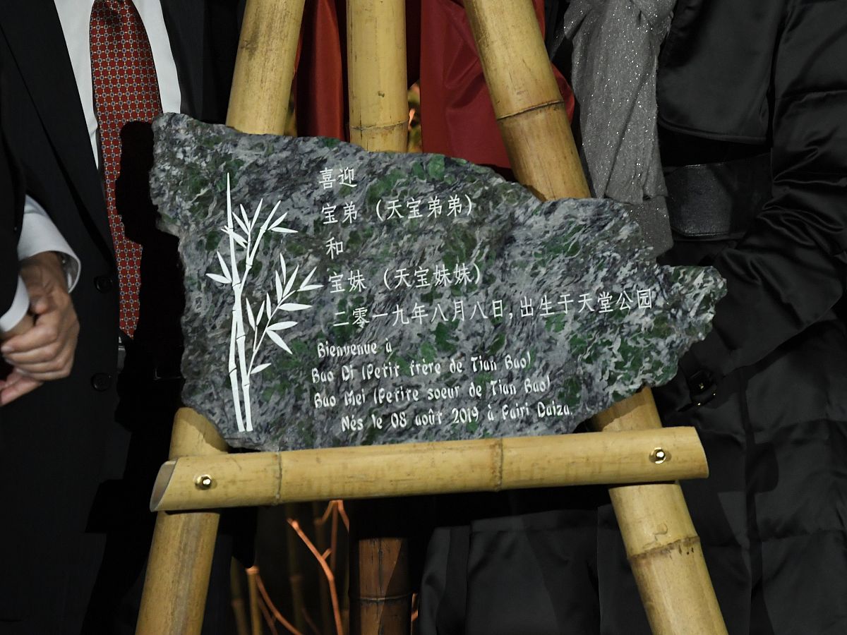 夏天出生的女孩双胞胎名字大全 - 好听的中国风名字推荐