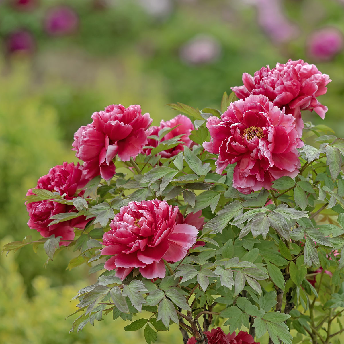 江苏溧水中等专业学校2022年招生计划及报名指南