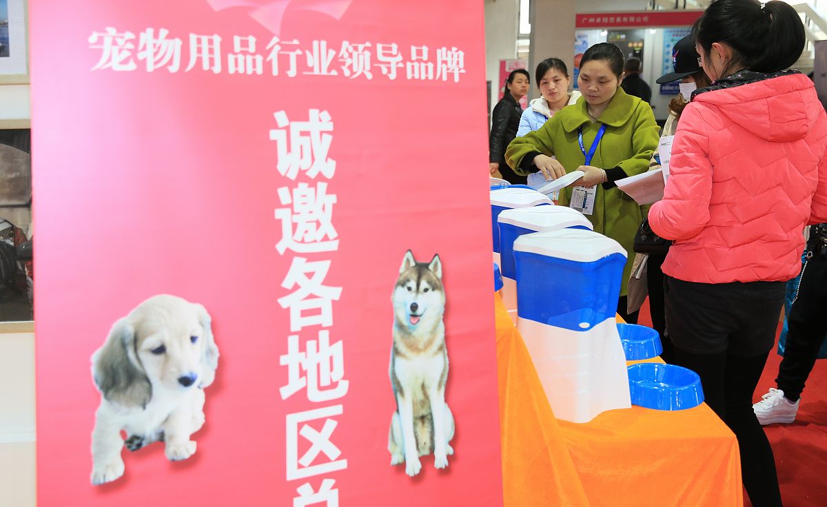 宠物领养网站暖心标语：为毛孩子们找到爱的港湾