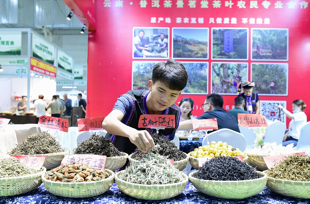 帮我写一份新时代青年如何利用返家乡活动宣传自己的家乡开直播宣传农特产品等的政协提案包括背景问题原因分析解决方案三个部分不少于1500字