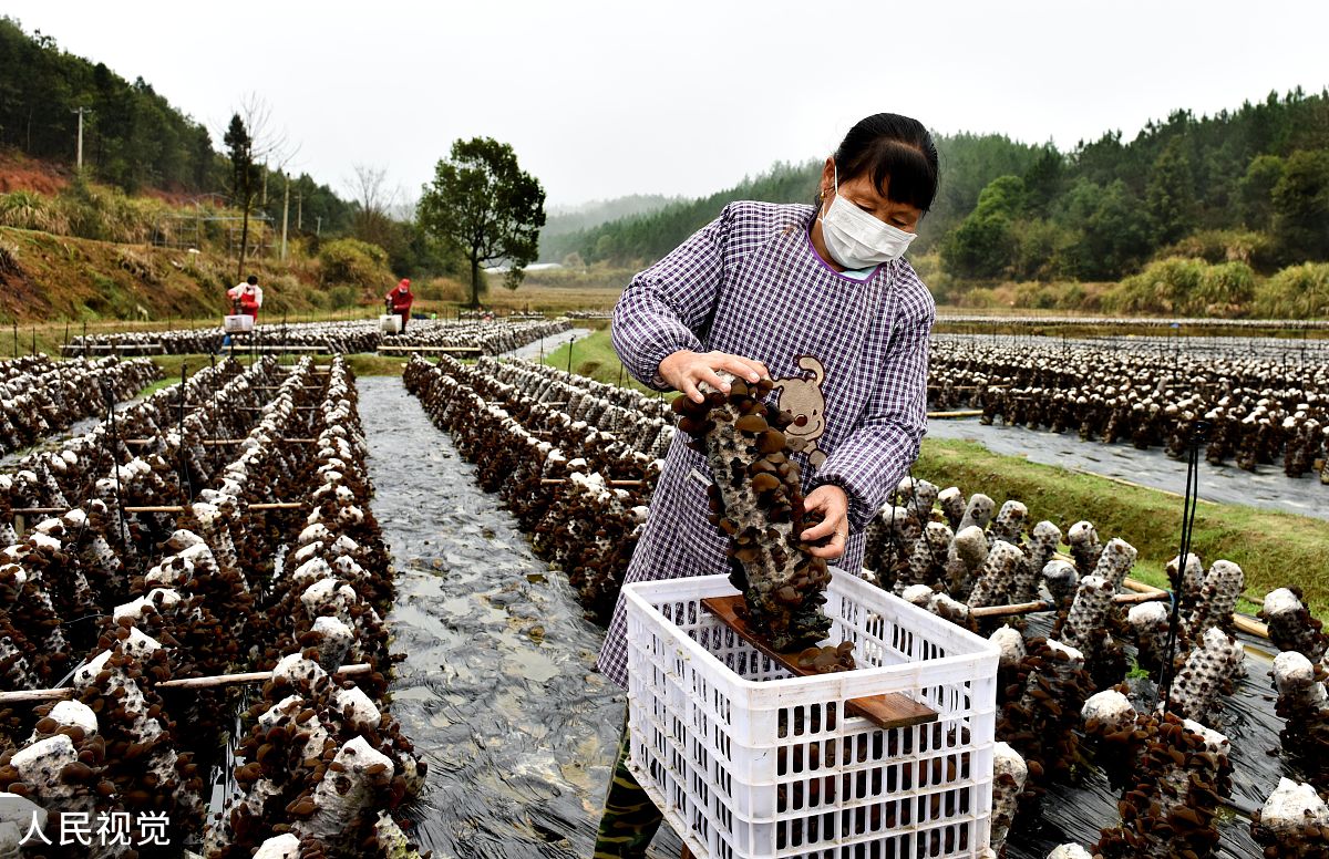 让公司飞速发展？试试让员工穿超级英雄服装！