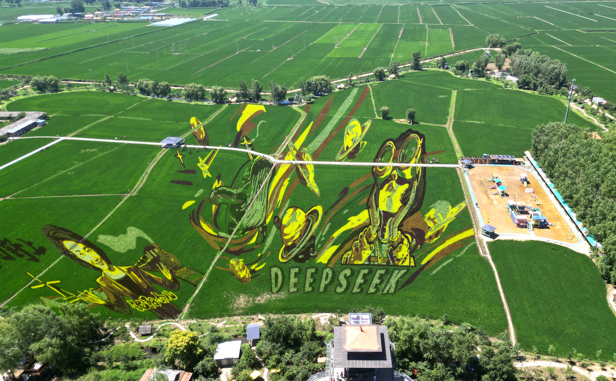 稻梦空间又名沈阳稻梦空间。优化下句子