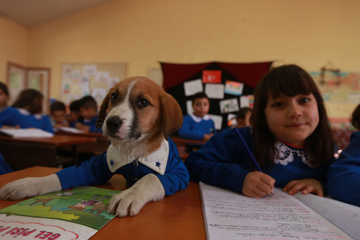 西宁卫校2022年分数线多少