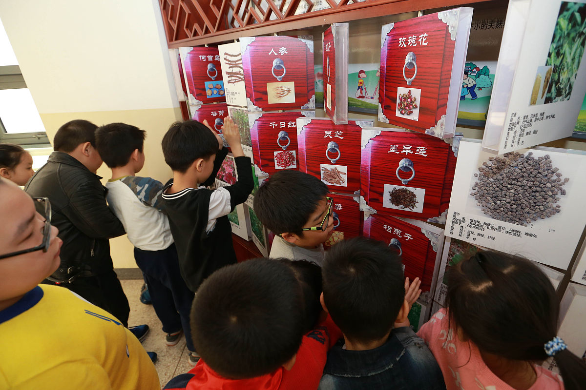 中医笔试考点总结：必备知识点全解析