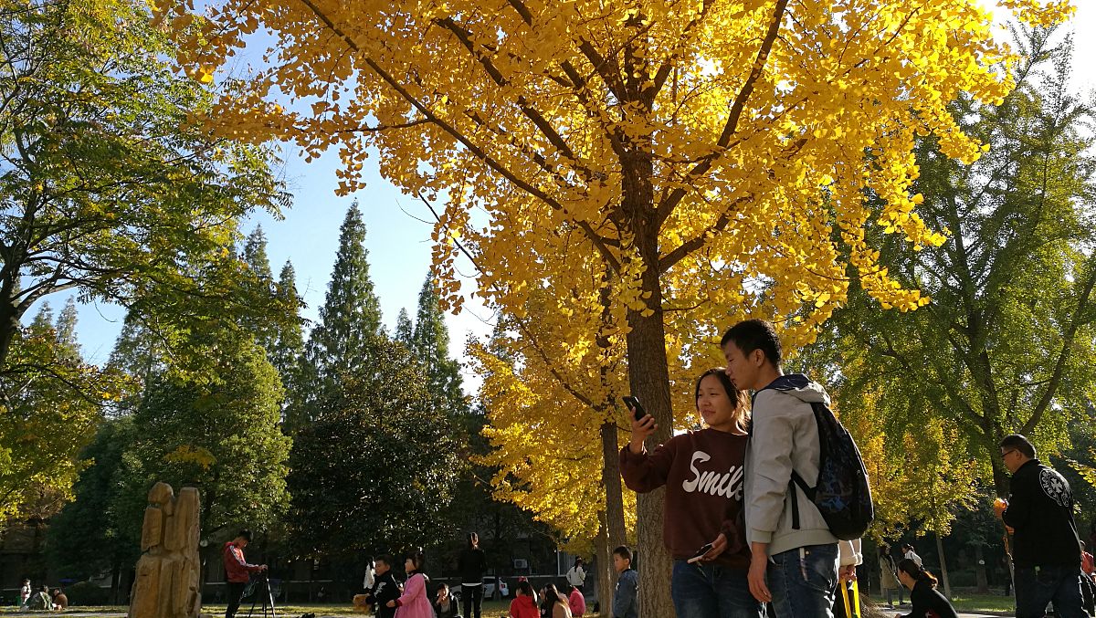 安徽科技学院金融工程专业怎么样