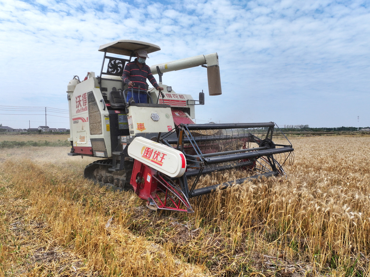 水稻便捷式收割机