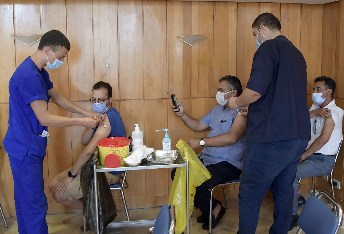 Tutorial Potong Rambut Wolf Cut: Panduan Lengkap untuk Tampilan Stylish