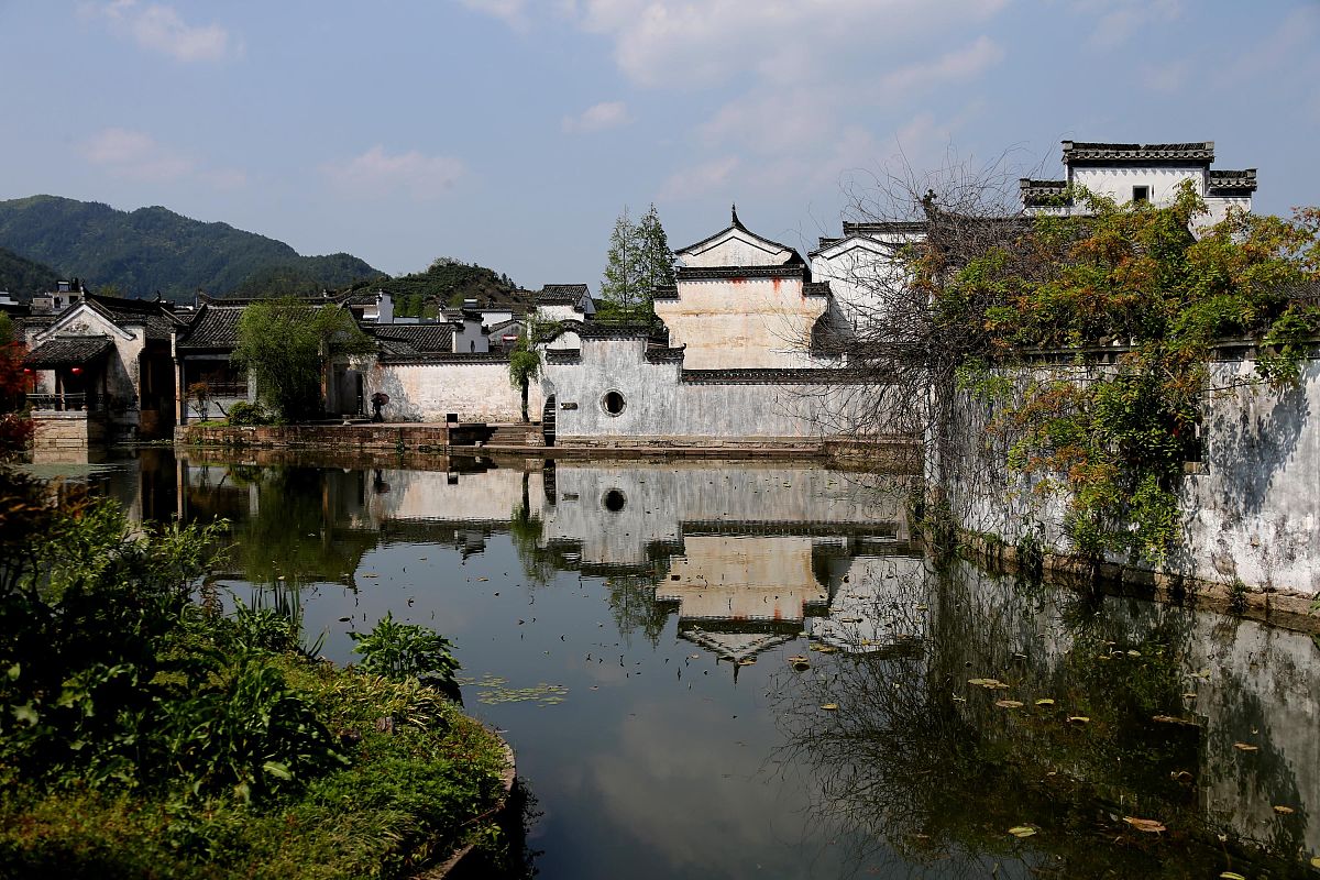 安徽徽州学校2022年哪些专业招生