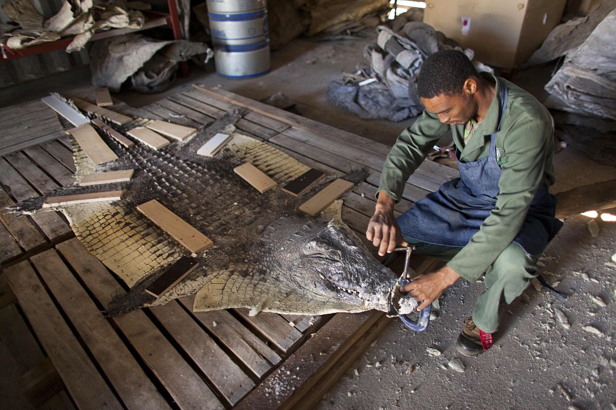 重庆市科能高级技工学校专业设置优化：培养高素质技工人才