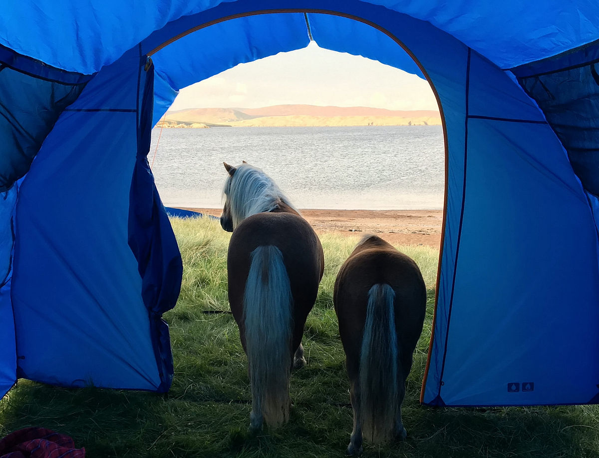 穿越时空的冒险之旅：时间之门小说大纲