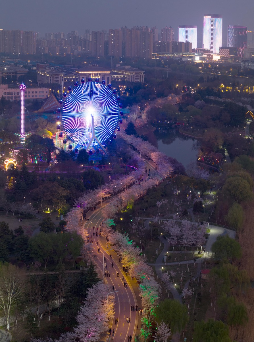2026年3月27日,江苏淮安,夜晚的樱花园内灯火璀璨,在