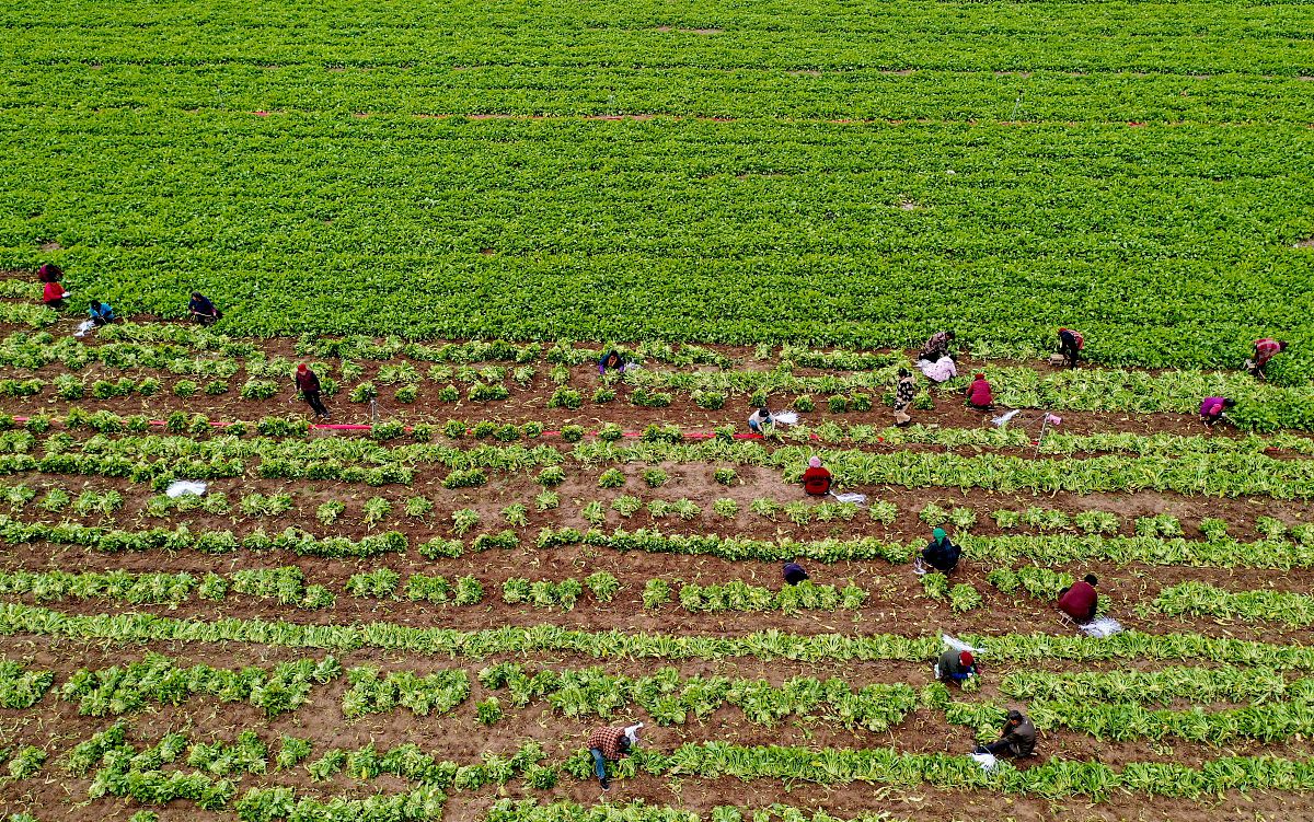 亳州现代科技艺术学校2021年招生简章 - 培养创新人才，开启未来之路