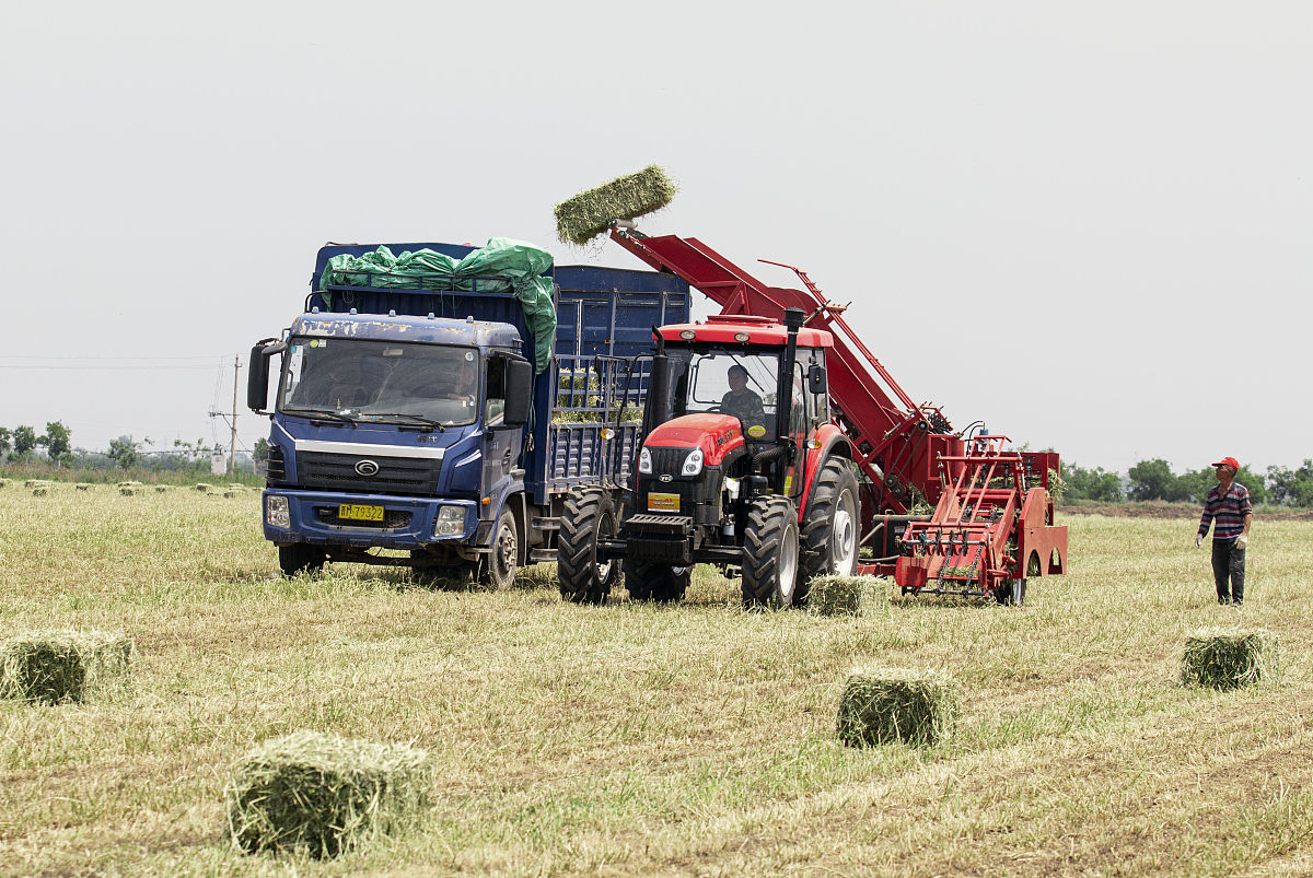 4500字创新创业项目论文主题甘蔗收割机查重率25以下