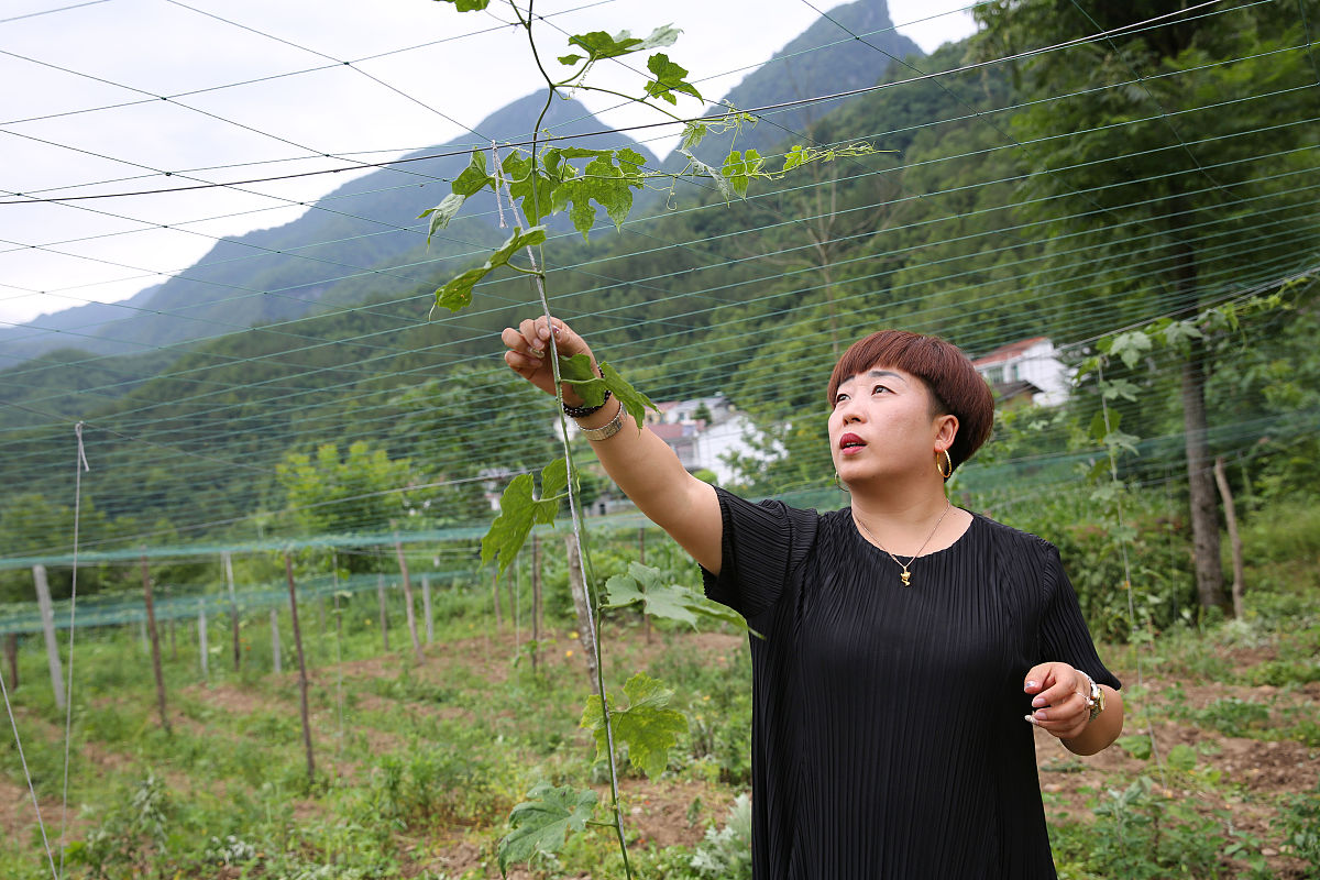 重庆市农业学校现代农业技术专业怎样？就要前景如何