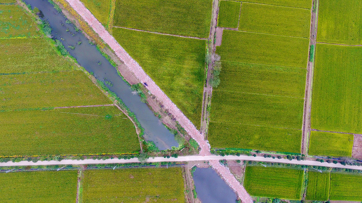 2023年江苏卫生健康职业学院五年制高职招生简章