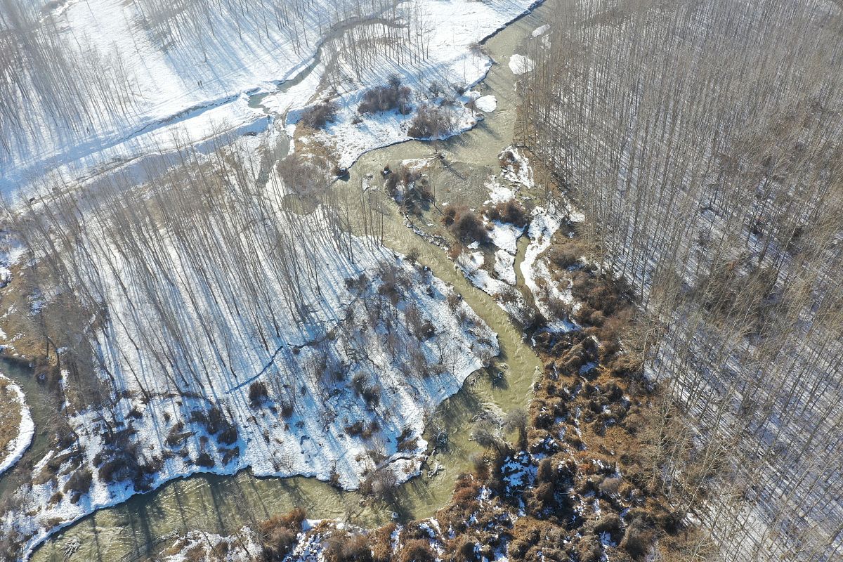 新疆的南北疆地震、地质、气象、洪水、干旱、森林火灾等自然灾害差异详细描述