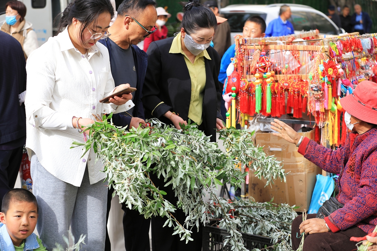 客家人的“灵魂之草”：艾草