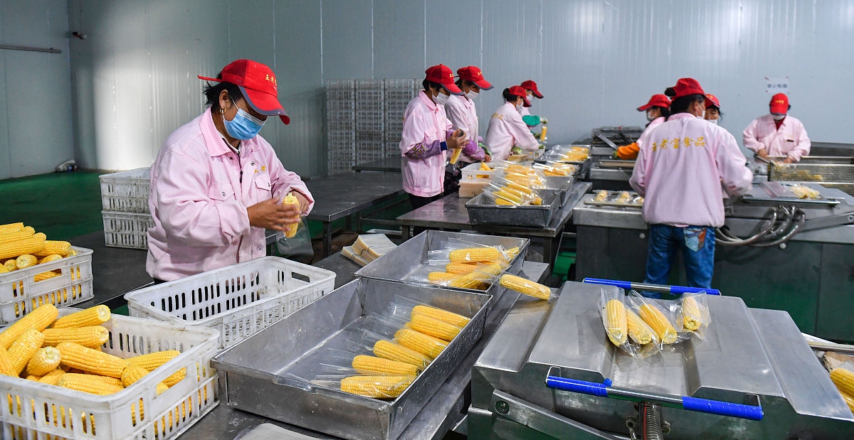 中职生食品类的专业有哪些？就业情况好吗？